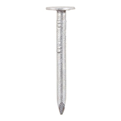 Timco - Clout Nail - Galvanised 40 x 3.35  - 1 KG